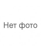 Лицензия BUDS/BUDS2 (возобновлять)
